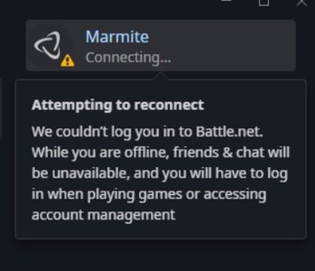 Battle Net.jpg