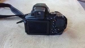 20190321_152102_HDR.jpg