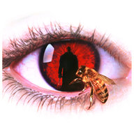 CandyMan_ZA