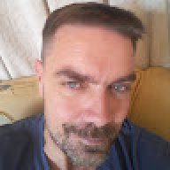 Ant_