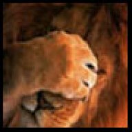 LazyLion