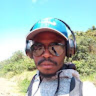 Ronniesanele