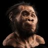 human_on_earth