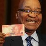 Msholozi