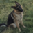 NukiTheLegend
