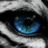 bye_empty_eye