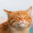 purrr