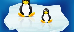 Linux