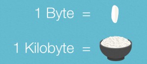 Byte Rice
