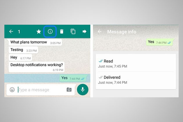 WhatsApp message read time