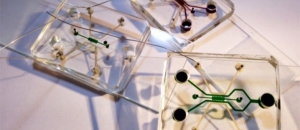 Microfluidic Device