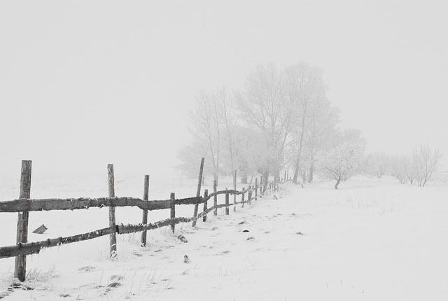 Snow Weather