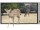 Sharp 3D LCD glass-less TV