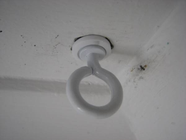 IMG_4648.JPG