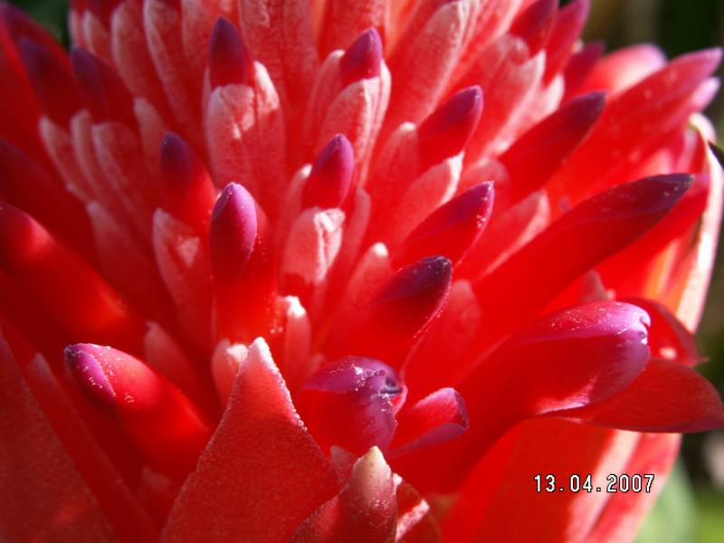 PICT0085.JPG