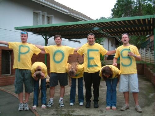 Proteas_1.JPG