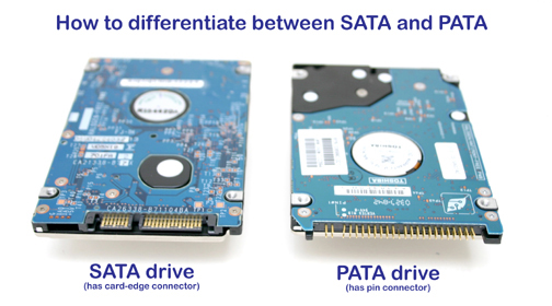 SATAPATA.jpg