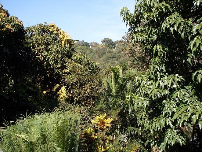 View1.JPG