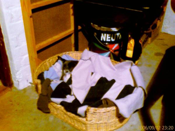 IMAGE_00166.jpg