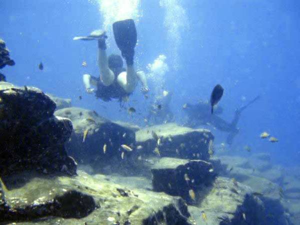 underwater_LS_copy.jpg