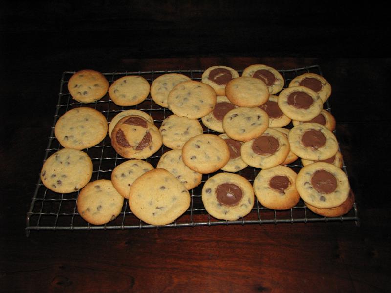 IMG_9009_Medium_.JPG