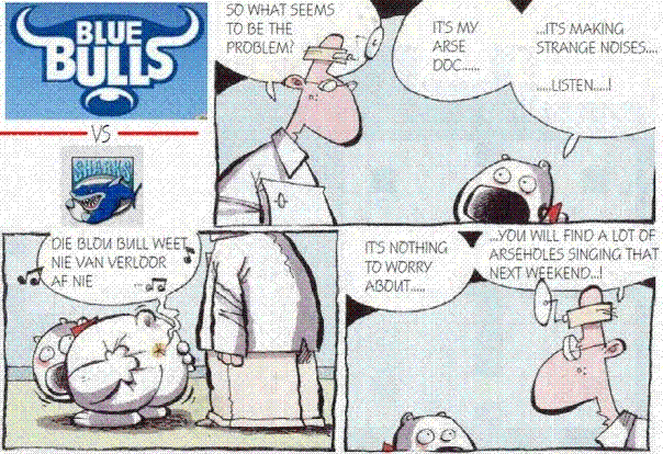 bulls.GIF
